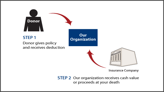 Life Insurance Policy Thumbnail